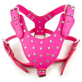 Leather Adjustable Dog Spike Harness.