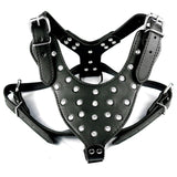 Leather Adjustable Dog Spike Harness.