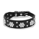 Adjustable Bowknot Collar.
