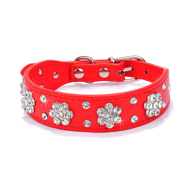 Adjustable Bowknot Collar.