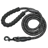 Braided Reflective Dog Leash.