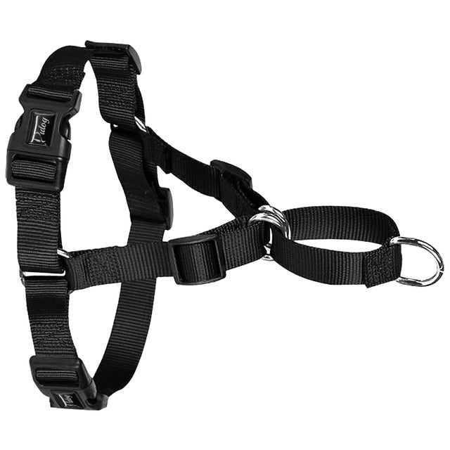 Adjustable Buckle Dog Harness.