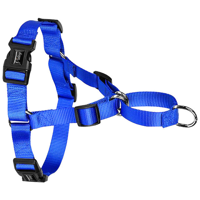 Adjustable Buckle Dog Harness.