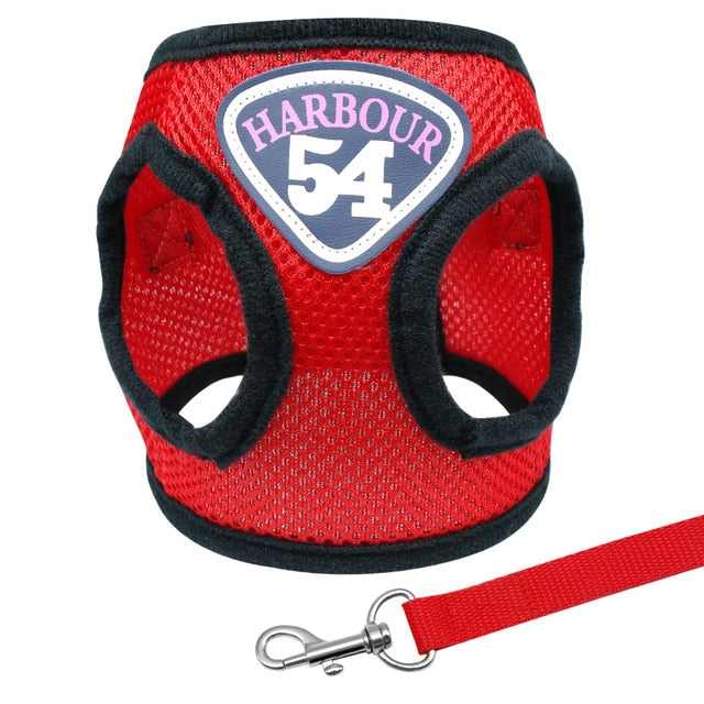 Adjustable Pet Harness Vest Set.