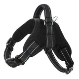 No Pull Dog Harness.