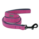 Personalized Leather Dog Leash.