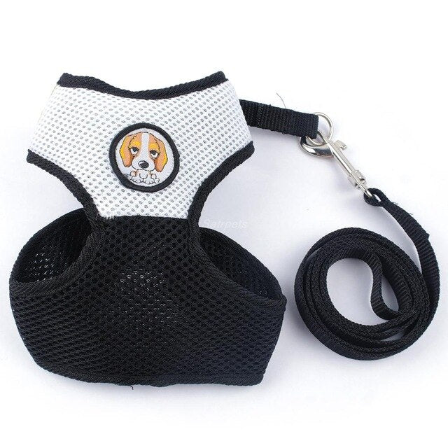 Dog Harness and Leash Set.