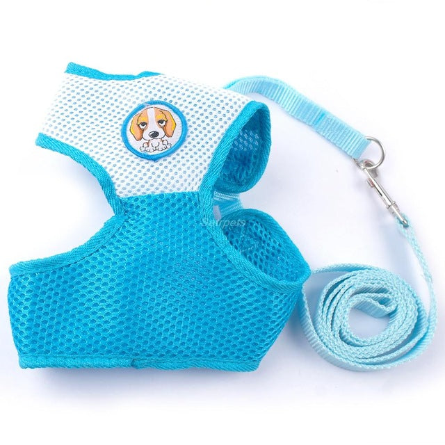 Dog Harness and Leash Set.