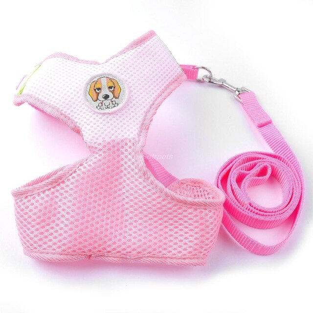 Dog Harness and Leash Set.
