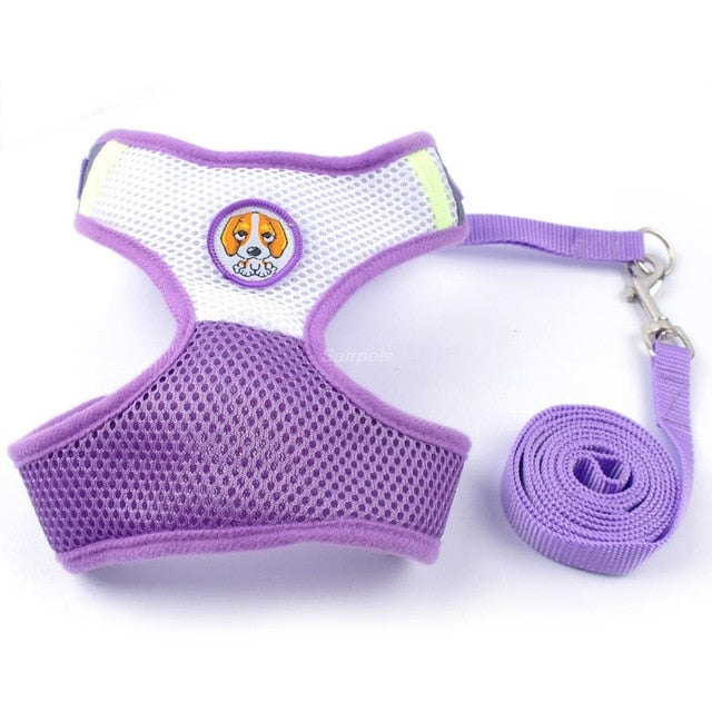 Dog Harness and Leash Set.