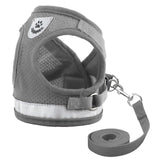 Dog Mesh Harness Vest.