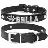 Rhinestone Dog Collars.