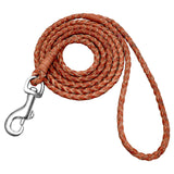 Rolled Braided Dog Leash.