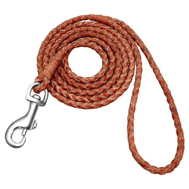 Rolled Braided Dog Leash.