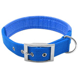 Stainless Steel Dog Collar.