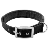 Stainless Steel Dog Collar.