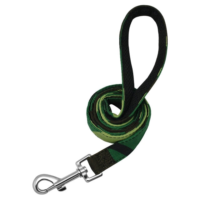 Printed Personalized Dog Leash Set.