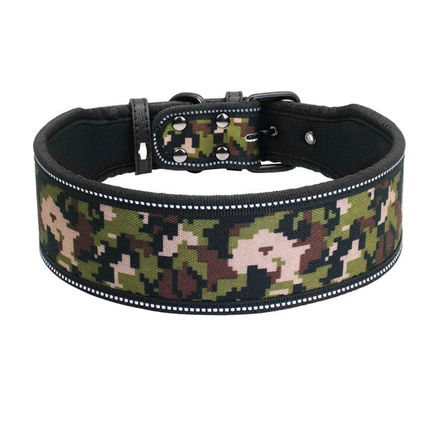 Reflective Nylon Dog Collar.