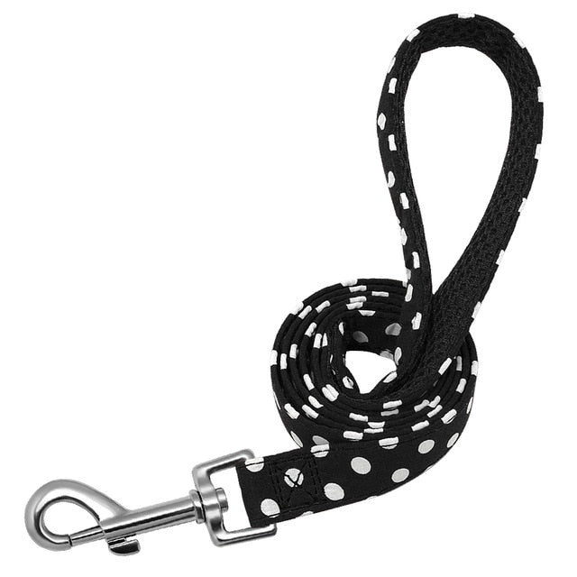 Polka Dots Dog Leash.
