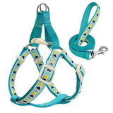 Nylon Printed Dog Harness Set.