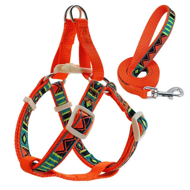 Nylon Printed Dog Harness Set.
