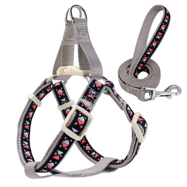 Nylon Printed Dog Harness Set.