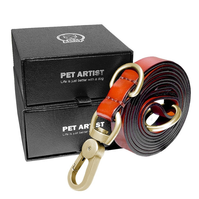 dog walking leash