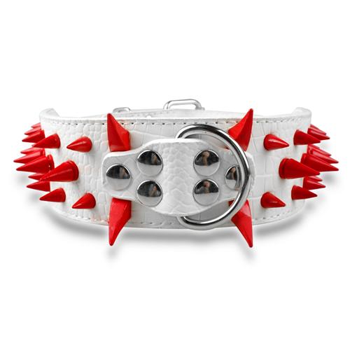 Dog Leather Spiked Collar.