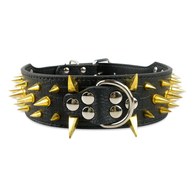 Dog Leather Spiked Collar.