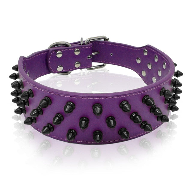 Dog Leather Spiked Collar.