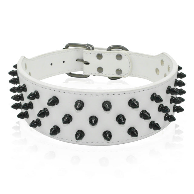 Dog Leather Spiked Collar.