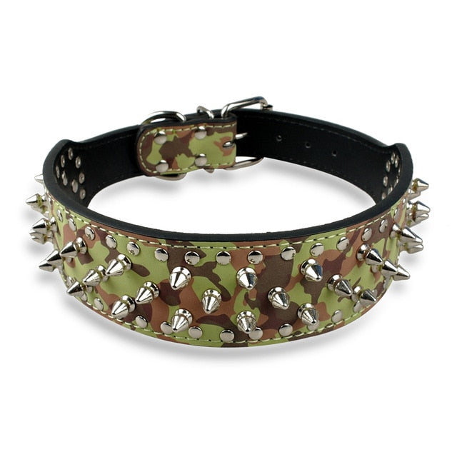 Dog Leather Spiked Collar.