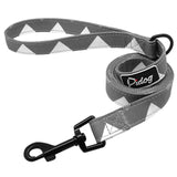 Patterned Dog Leash.