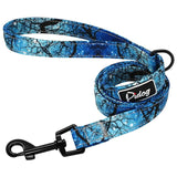 Patterned Dog Leash.