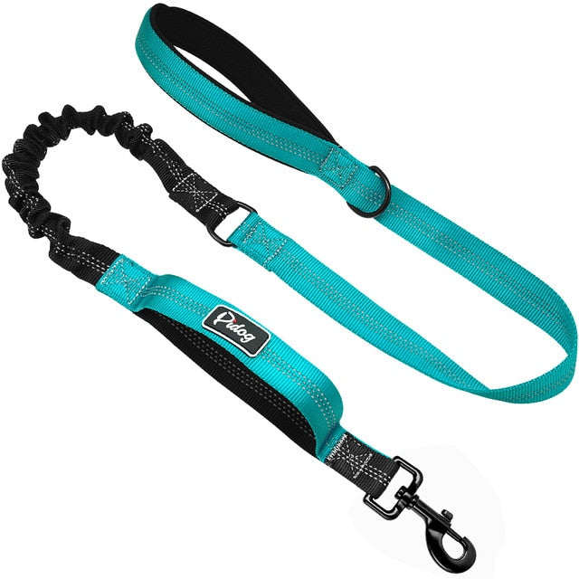 Elastic Bungee Hands-Free Dog Leash.