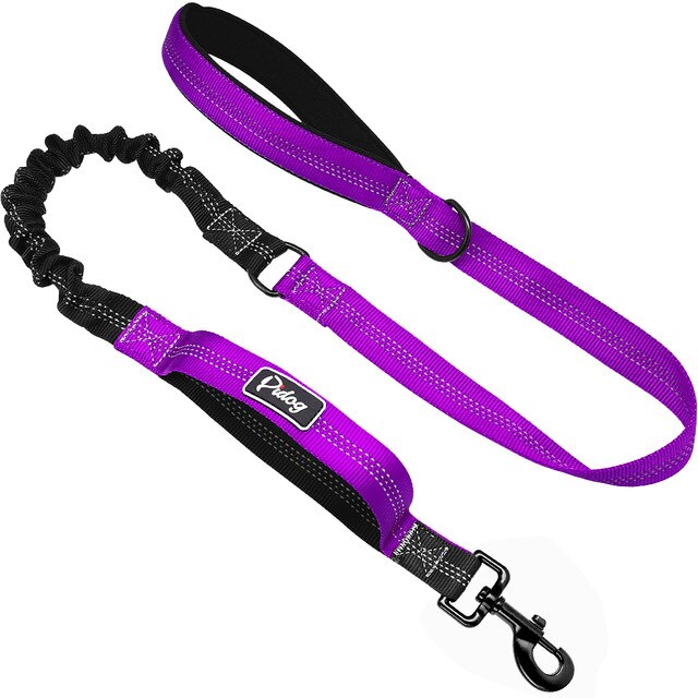 Elastic Bungee Hands-Free Dog Leash.