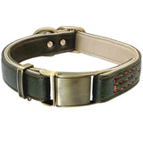 Leather Steel Buckle Dog Collar.