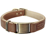 Leather Steel Buckle Dog Collar.