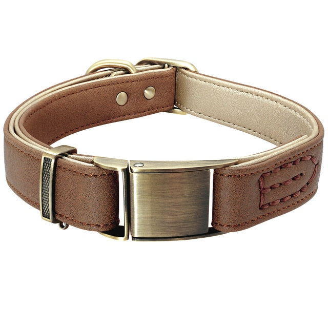 Leather Steel Buckle Dog Collar.