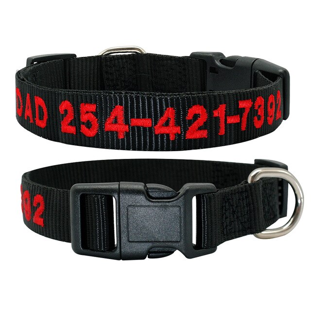Dog Personalized Nylon Collar.