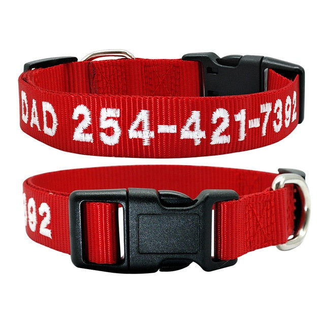 Dog Personalized Nylon Collar.