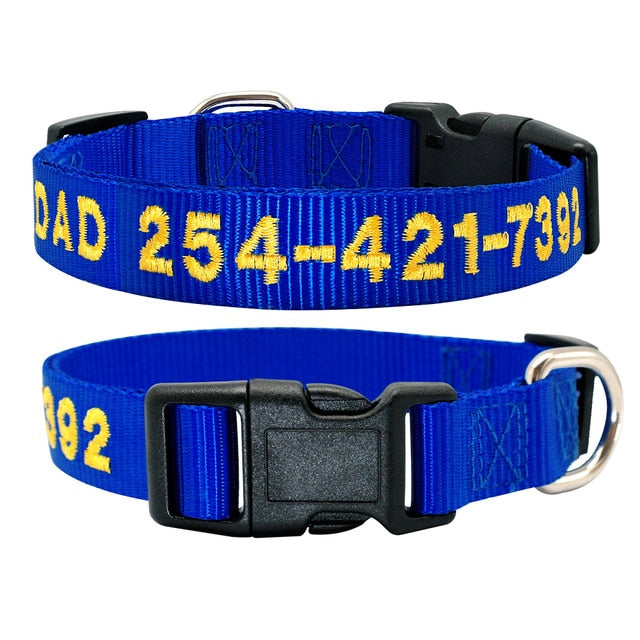 Dog Personalized Nylon Collar.