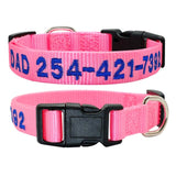 Dog Personalized Nylon Collar.