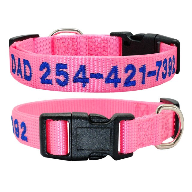 Dog Personalized Nylon Collar.