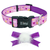 Floral Adjustable Nylon Dog Collar.