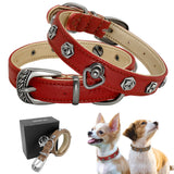 Stud Genuine Leather Dog Collar.