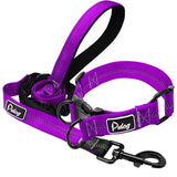 Reflective Dog Collar and Leash Set.