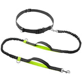 Hands-Free Reflective Dog Leash.