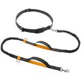 Hands-Free Reflective Dog Leash.