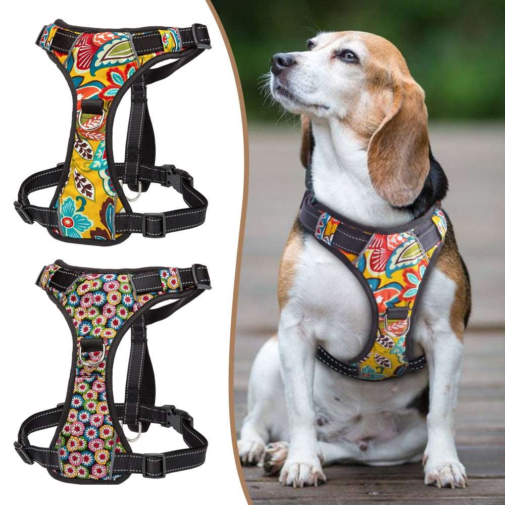 Artistic Dog Reflective Harness.